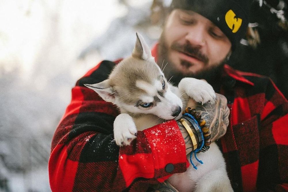 Срочно продам щенят