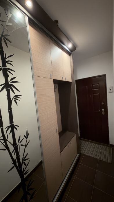 Donez dulap pentru hol. Cluj-Napoca.