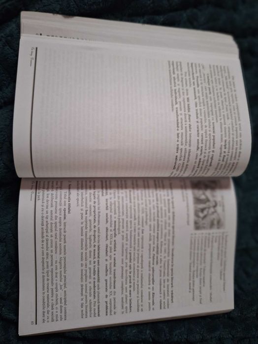 Titularizare și definitivat - învățători/ primar - eseuri și teste
