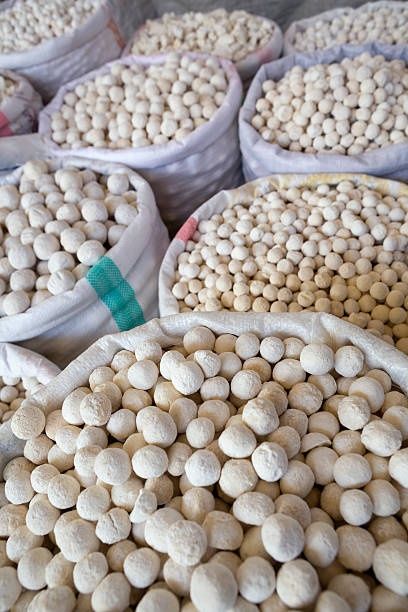 Сапалы құрттар бар