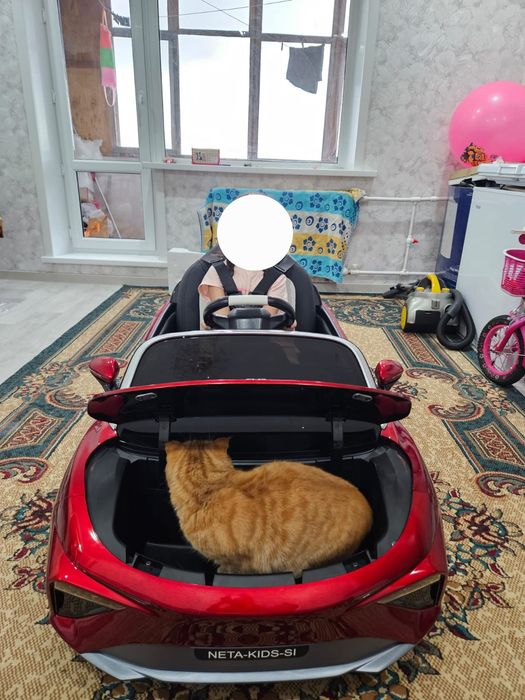 Детская машина на пульте управления.