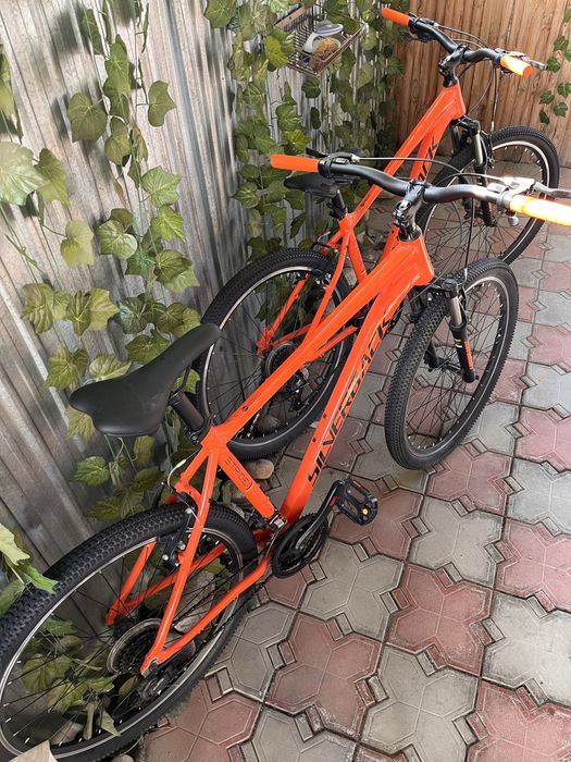 Два Велосипеда SILVERBACK Stride SE 2020