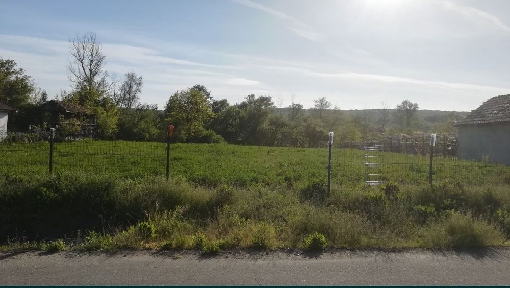 Lucerna însămânțare martie 2026