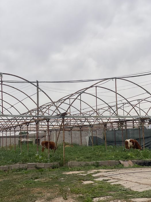 Ferma, Dalla, Dacha 70 sotih