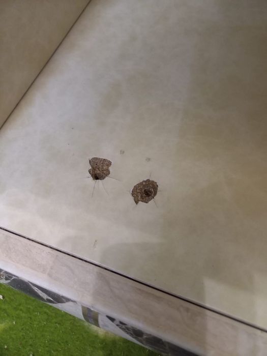 Услуги рестовратора мебели