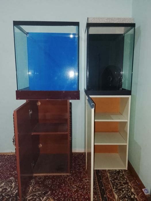 Akvariumlar sotiladi