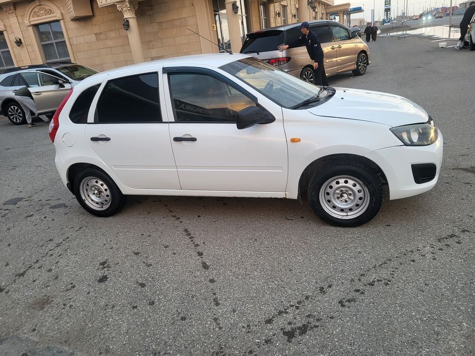 Калина Хэйчбэк 2014