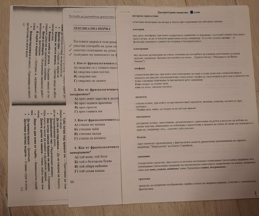 Български език и литература за 7, 8, 9, 10, 11 и 12 клас