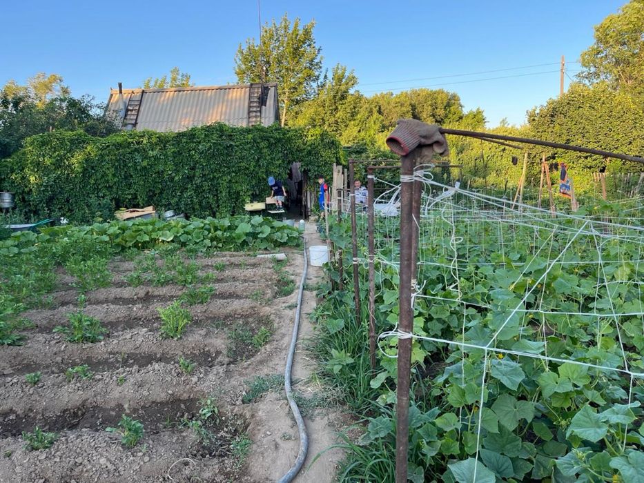 Дача на Спутнике