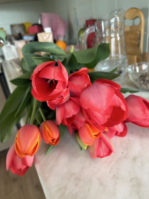 Тюльпаны садовые на срез