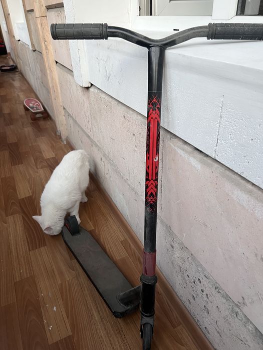 Самокат детский