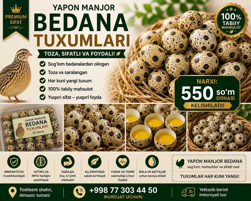 Bedana sotiladi, yapon manjor zoti, 100+