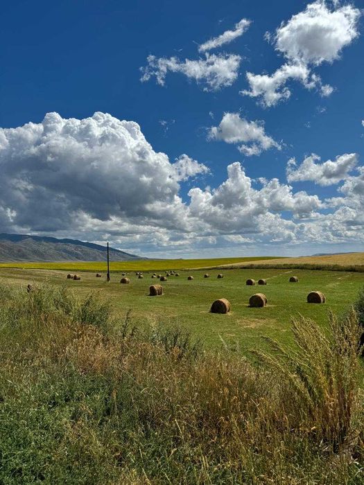 Продается КХ 850 га плодородными полями.