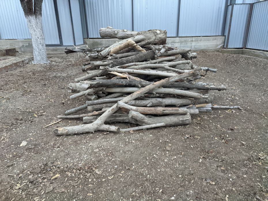 Продам дрова для шашлыка