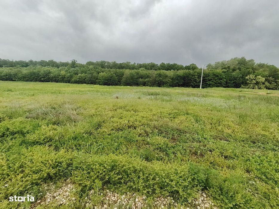 Teren intravilan - 860 mp - Deschidere 20 mp - Eforest - Crevedia