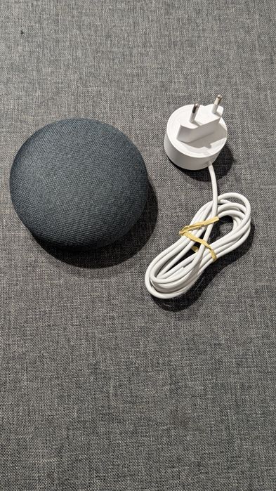 Google Home Mini / Nest Mini Gen 1