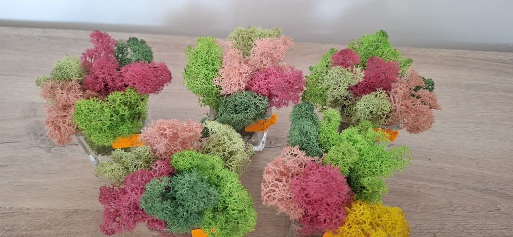 Бюджетни подаръци със скандинавски мъх