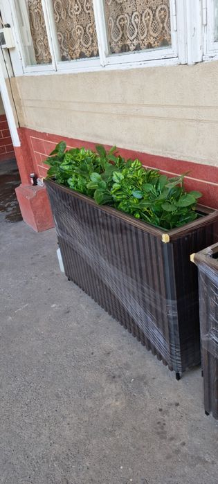 Gul tuvak Кашпо 
 fastfood