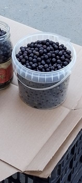 Қарақат(вороняжки)