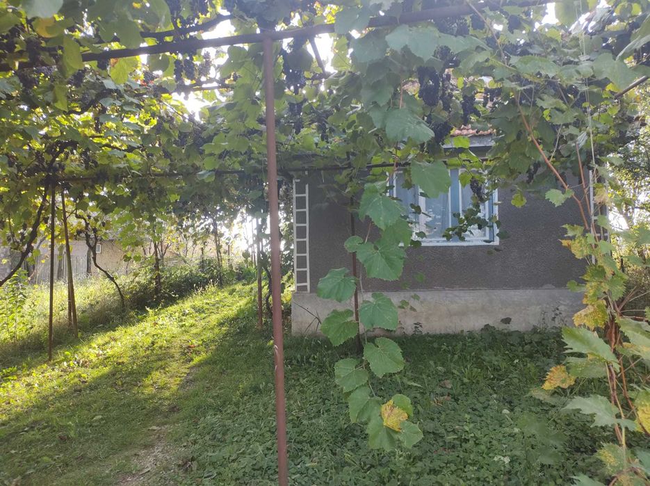 Casa mica Calea Mare - 15 km Oradea