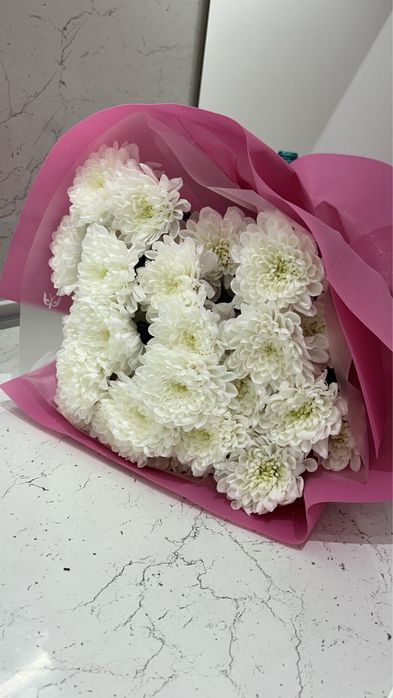 Хризантема свежий