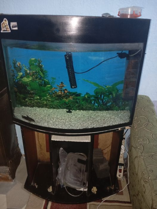 Продается аквариум с рыбками