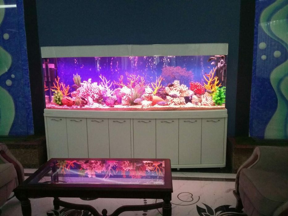 Аквариуми под заказ на любой вкус.