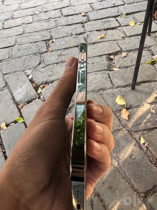 Iphone 13 Pro Max 256GB