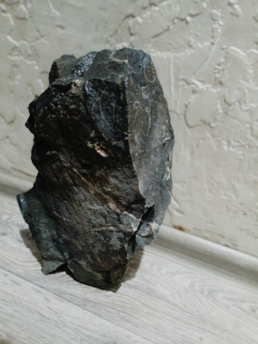 Аквариумные плитняки