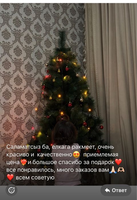 Елка. Шырша, ёлка