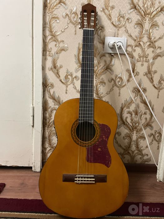 Gitara garantiyasi bor