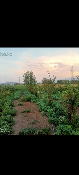 Фазенда продается