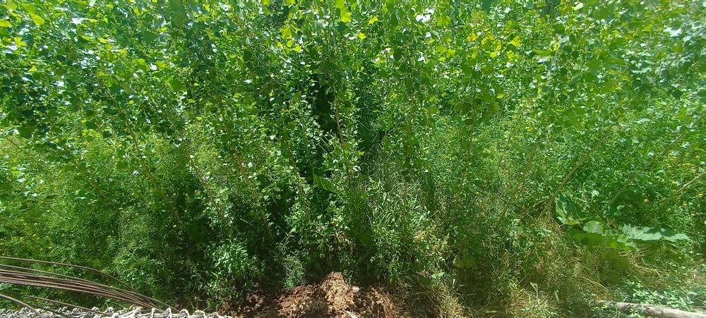 Xouli uy sotiladi срочно продаётся