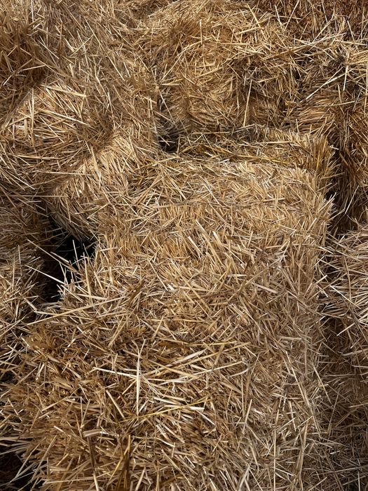 Тюки Саломы для скота