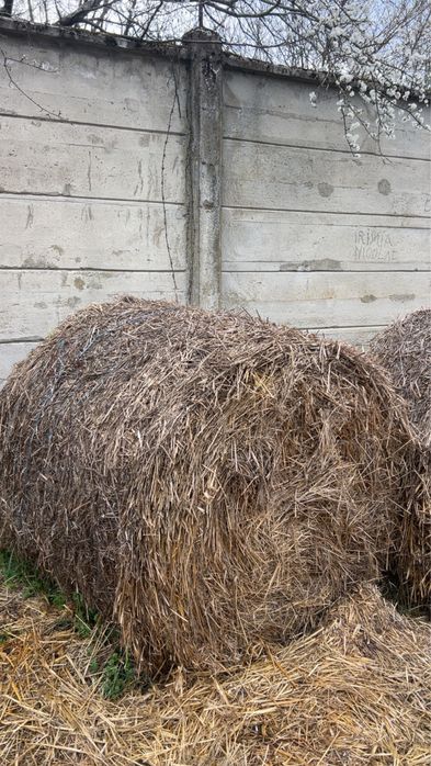 De vanzare baloti de paie