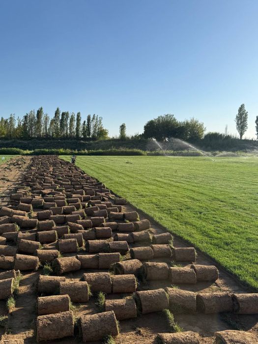 Gazon Газон, полив,ландшафт