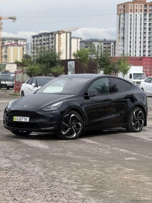 Tesla Model Y Dual motor 4wd