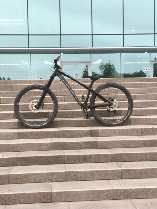 Dartmoor Hornet 2024