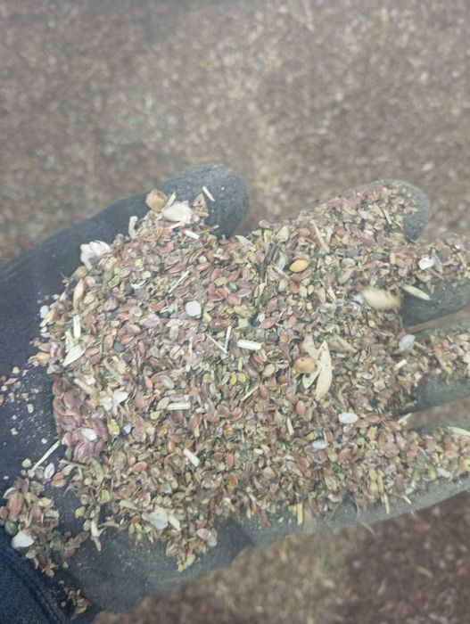 ОТходы (карейский мост)