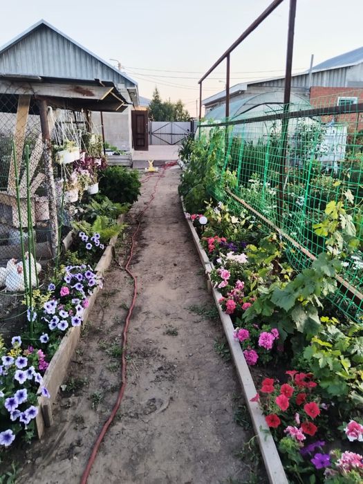 Продам дом в Дружбе