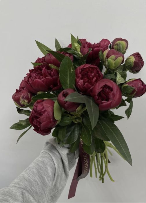 Ароматные бутончики пионов