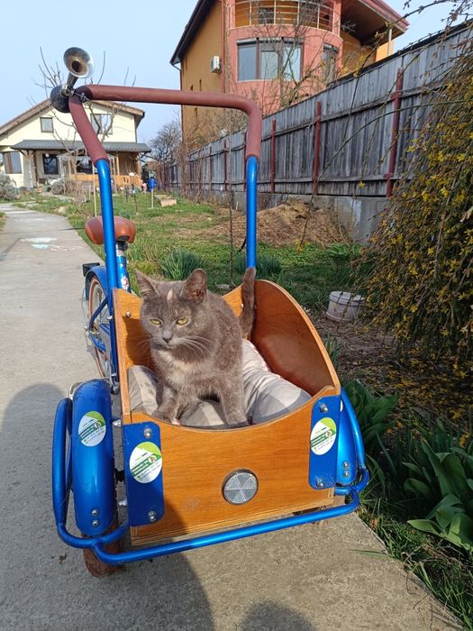 Bicicleta Pegas Cargo mini