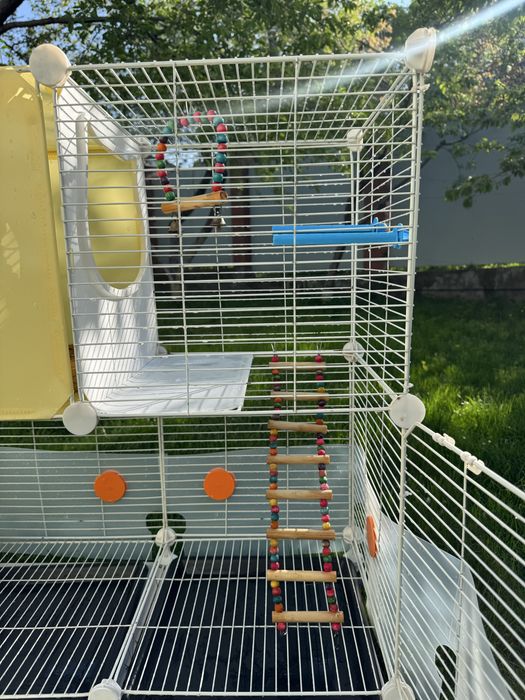 Большая клетка для попугаев