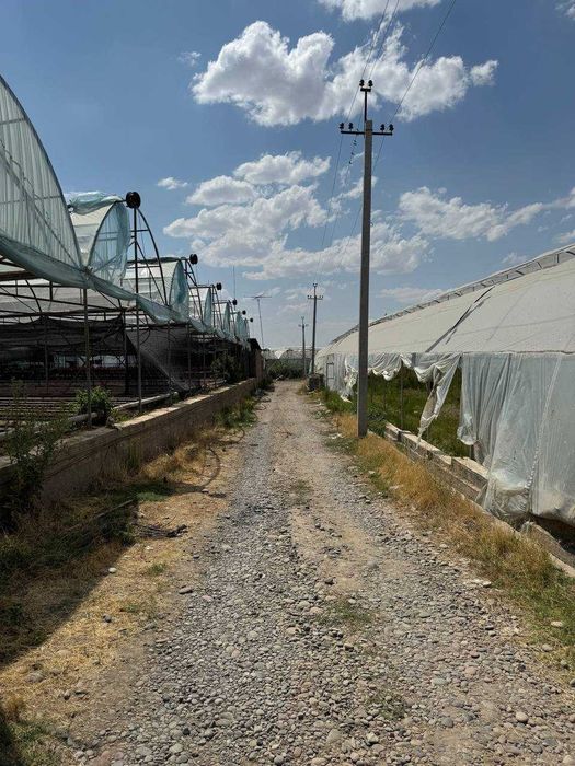 Иссикхона сотилади