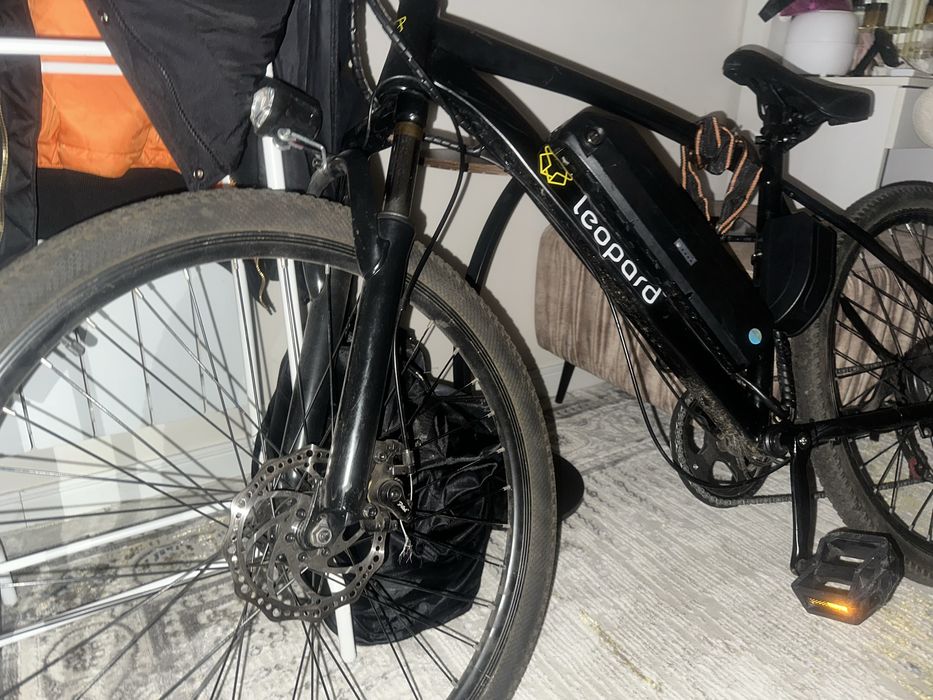 Элктро велик леопард