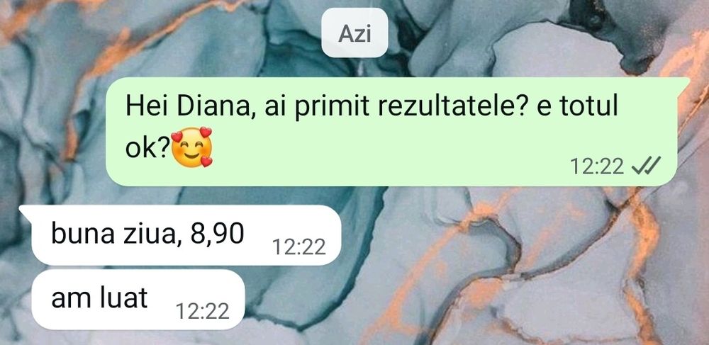 Meditatii BAC de 10 Lb. Romana