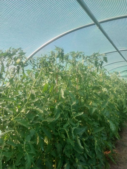 Продава къща с.Ценово , Русенско