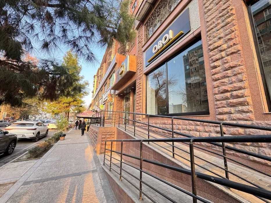 Панорамное помещение для халяль-бизнеса — 503 м², Шевченко Фидокор