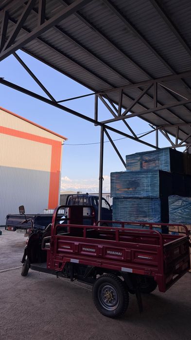 Трицикл муравей электрически