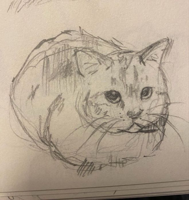 Рисую ваших животных :)